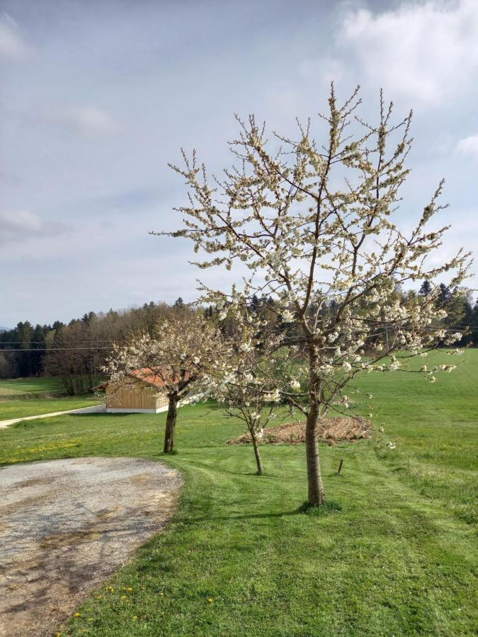 Ferienwohnung Am Dreiseithof Hauzenberg Zewnętrze zdjęcie